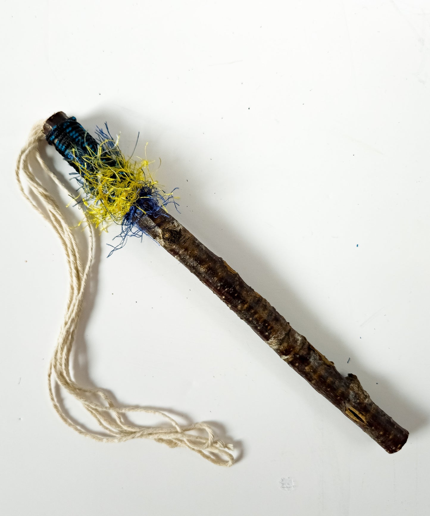 Whip | Silver Birch Closed Long