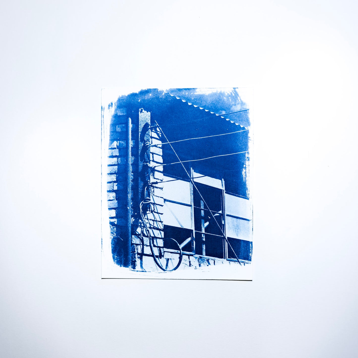 Out in the Yard Mini #1