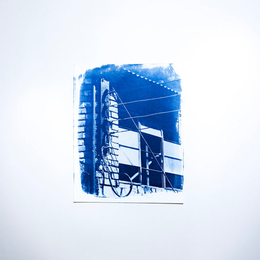 Out in the Yard Mini #1